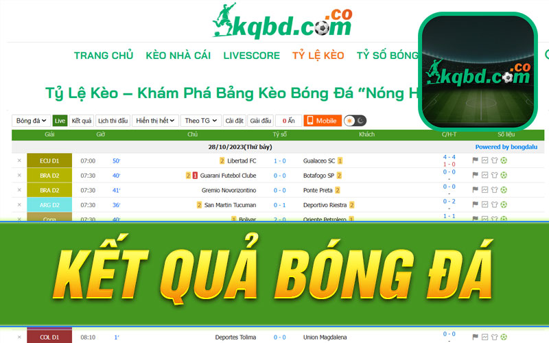 kqbd-keo-nha-cai-livescore-va-ty-so-bong-da-49